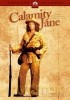 Calamity Jane [DVD]